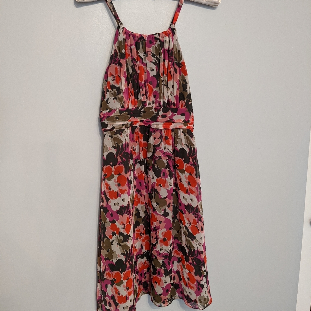 The Limited Floral Dress